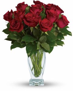 Rose Classique - Dozen Red Roses 